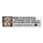 CUTE YORKIE BUMPER STICKER  (NO BUMPER BUMPING) bumper stickers