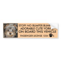 CUTE YORKIE BUMPER STICKER  (NO BUMPER BUMPING) bumper stickers