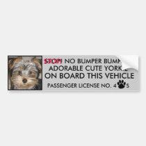 CUTE YORKIE BUMPER STICKER  (NO BUMPER BUMPING) bumper stickers