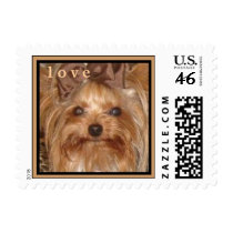 CUTE YORKIE (MY NAME IS ZSA ZSA) LOVE STAMP stamps