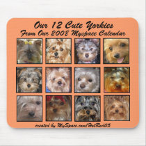 CUTE YORKIES 2008 CALENDAR ( mousepad) APRICOT