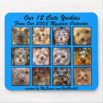 CUTE YORKIES 2008 CALENDAR ( mousepad) BLUE by CuteYorkies CUTE YORKIES 2008 CALENDAR ( mousepad) BLUE