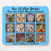 CUTE YORKIES 2008 CALENDAR (on a mousepad) by CuteYorkies CUTE YORKIES 2008 CALENDAR (on a mousepad)