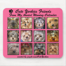 CUTE YORKIES Friends Now (on a MOUSEPAD) mousepads