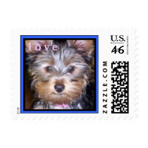 CUTE YORKIES ( I AM CRYSTAL BLUE ) LOVE STAMP stamps