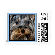 CUTE YORKIES  ( I AM KID VICIOUS ) LOVE STAMP stamps