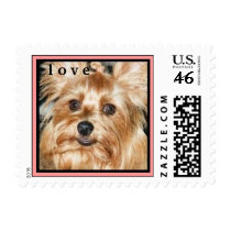 CUTE YORKIES ( MY NAME IS ROMEO) LOVE STAMP stamps