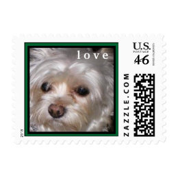 CUTE YORKIES ( MY NAME IS SCOOBY DOO) LOVE STAMP stamp