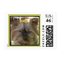 CUTE YORKIES (MY NAME IS WILLOW) - LOVE STAMP stamps
