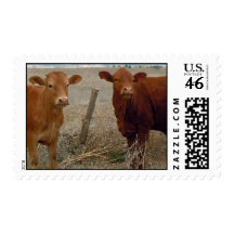 Cute Young Couple - Red Cows and Heifer Horns Stamp