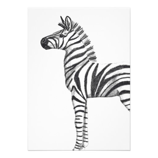 Cute Zebra Boy's Third Birthday Party Invitation