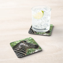 Cute Zebra  Set of Coasters