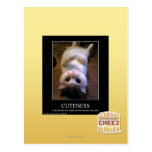 Cuteness 2 postcards