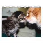 Cuteness for a year..... wall calendar