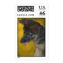 Cutepuppy postage