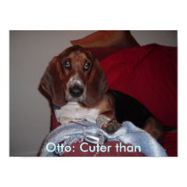 Cuter than Grandkids posters