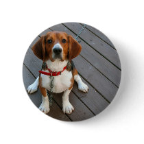 Cutest Beagle Dog Ever Pins