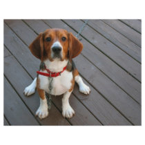 Cutest Beagle Dog Ever Custom Flyer