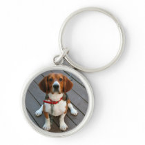 Cutest Beagle Dog Ever Key Chain