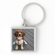 Cutest Beagle Dog Ever Keychains