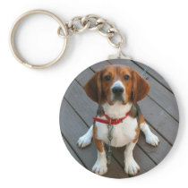Cutest Beagle Dog Ever Keychains