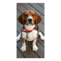 Cutest Beagle Dog Ever Photo Card Template