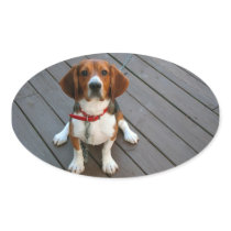 Cutest Beagle Dog Ever Sticker