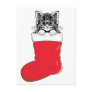Cutest Christmas Kitten Postcard