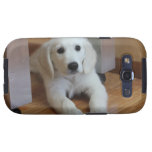 Cutest dog in the world on a case casemate cases