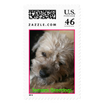 Cutest Dog - Seasons Greetings postage