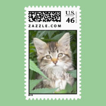 Cutest kitten ever postage postage