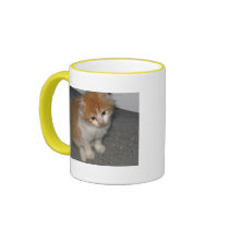Cutest Kittens mugs by littleredcorvette Cutest Kittens mugs