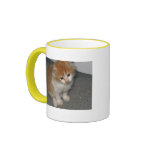 Cutest Kittens mugs