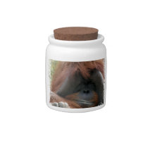 Cutest Orangutan Photo Ever Candy Jar