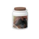Cutest Orangutan Photo Ever Candy Jar