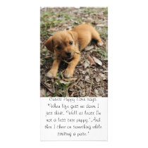 Cutest Puppy Ever Custom Photo Card