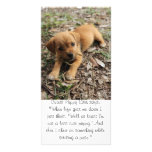 Cutest Puppy Ever Custom Photo Card