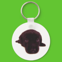 Cutest puppy keychain