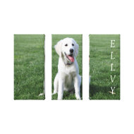 Cutest puppy on canvas wrappedcanvas
