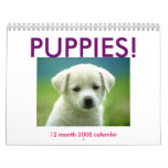 cutest puppy, PUPPIES!, 12 month 2008 calender Wall Calendars