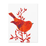 Cutest Red Bird on the planet Post Card