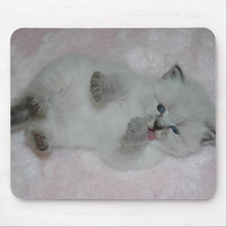 Cutest SibKitten Mousepad - Customized mousepad