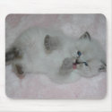 Cutest SibKitten Mousepad - Customized by ArtistNikki Cutest SibKitten Mousepad - Customized