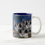 Cutest Sugar Gliders Coffee Mugs