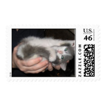 Cutesy Kitten postage