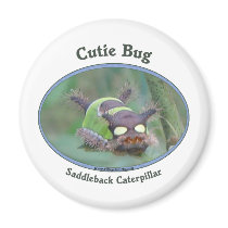 Cutie Bug Caterpillar Refrigerator Magnets
