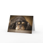 Cutie Cav! Greeting Cards