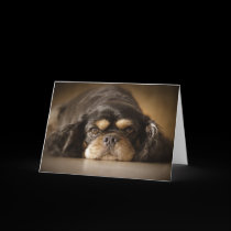 Cutie Cav! cards by Squealia Cutie Cav! cards