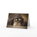 Cutie Cav! cards by Squealia Cutie Cav! cards