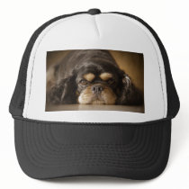 Cutie Cav! Mesh Hat